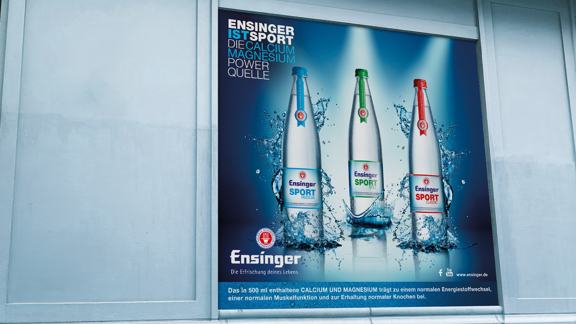 Ensinger